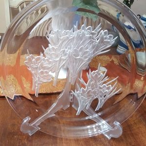 Hoya Crystal Crocus Plater sign by T. Yamamoto